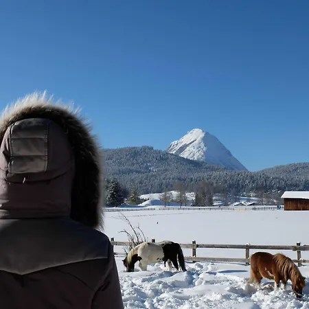 Gaestehaus Nocker Ζέεφελντ