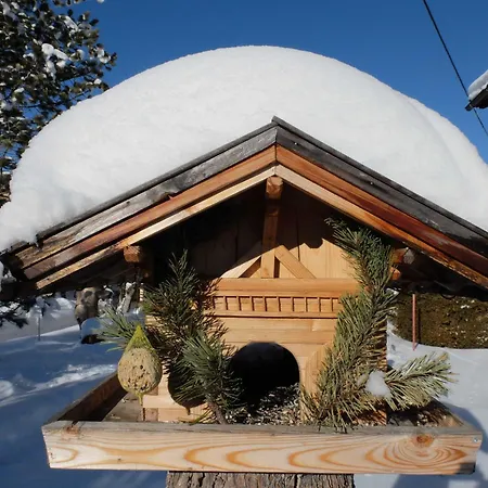 Gaestehaus Nocker 蒂罗尔-泽费尔德