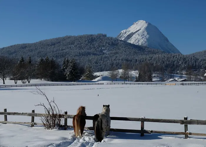 Apartamento Gaestehaus Nocker